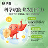【社群专享】华畜  肝肾通   通肾清肝 为肝减负 商品缩略图2