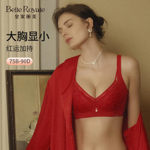 新款调整型文胸薄款大胸显小3/4杯型透气洞洞棉记忆软圈收副乳女款内衣WJ2308-1 商品图0
