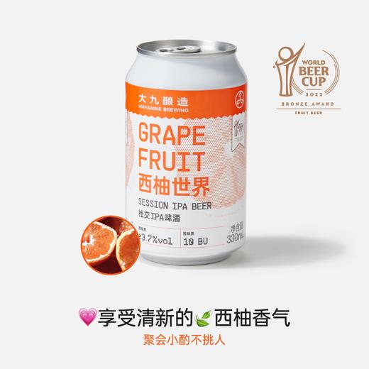 【冷库储存】 大九西柚世界社交IPA啤酒 3.7%vol 330ml 商品图0
