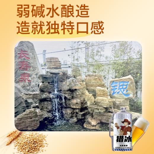 【猎冰精酿啤酒】弱碱水酿造，麦香爽口饱满，一饮难忘！（2.12-2.22停发） 商品图3