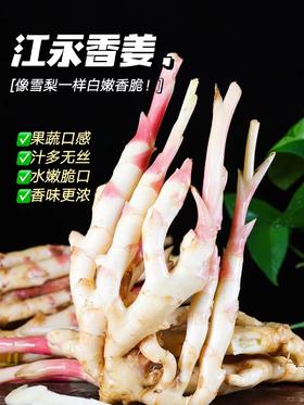 江永 玉指香姜 | 脆如冬笋嫩如瓜，姜汁浓郁，香味与众不同！