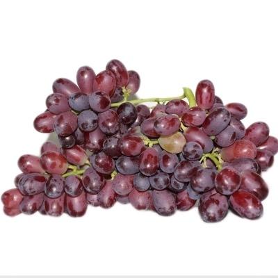 新鲜水果  皮薄无籽 脆甜多汁新疆无籽提    4斤/框 商品图2