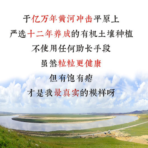 2025新花生，有机甜花生米&沙地有机花生仁 商品图3