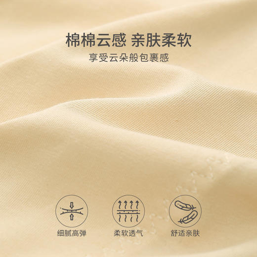 芬腾生理内裤女抗菌棉质裆经期高腰防漏安全裤月经女生姨妈卫生裤 商品图2