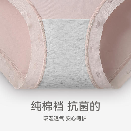 下架 芬腾内裤女士莫代尔中腰薄款抗菌纯棉裆少女透气纯色三角裤短裤头 商品图2