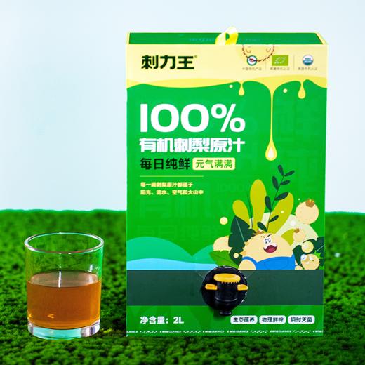 刺力王有机刺梨原液礼品装2L 商品图1