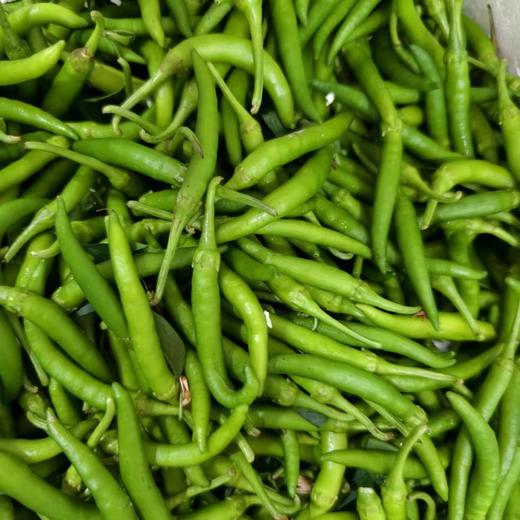 高山杭椒 0.8斤装，炒肉太香了 商品图0