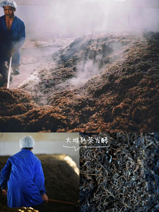 普粹2022年老树茶头  2015年原料香甜厚滑可饮可藏 商品图6