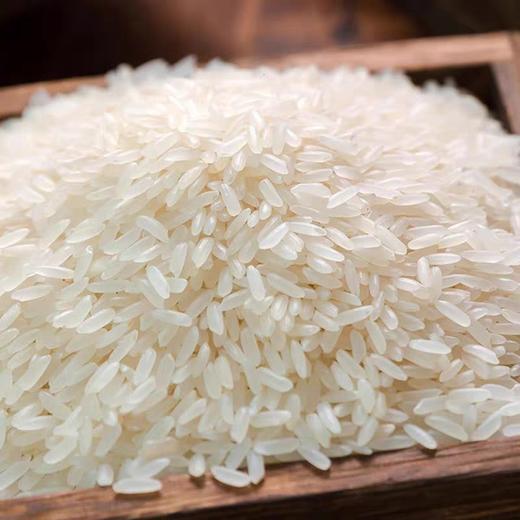 散装903香米 (2.6元1斤，5斤/份) 商品图0