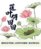 【南京】莲叶何田田 商品缩略图0
