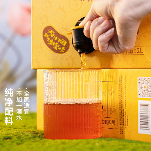 刺力王原液家庭装2L 商品图3