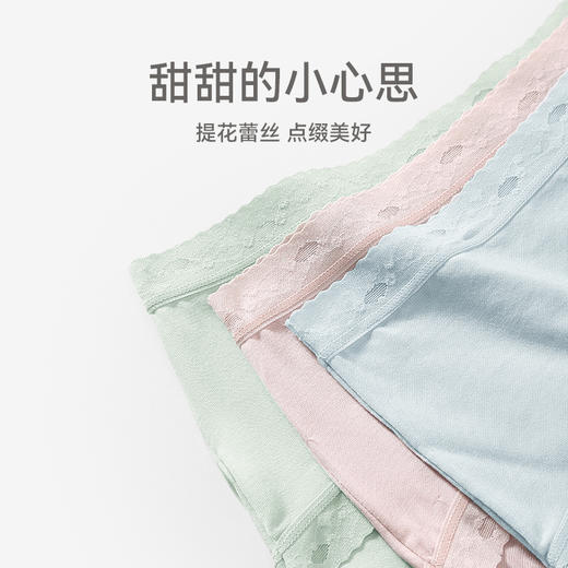 下架 芬腾内裤女士莫代尔中腰薄款抗菌纯棉裆少女透气纯色三角裤短裤头 商品图3