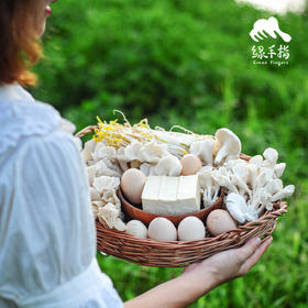 【总仓】单人蔬菇豆蛋体验份额（客服打电话确认后发货） | 绿家自产* EcoFresh Nine | In-House Production