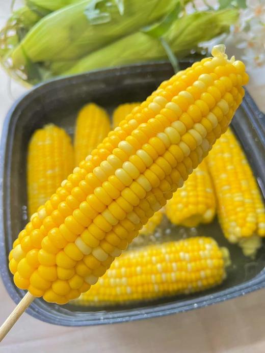 云南新鲜水果玉米 农家现摘 生吃甜嫩脆 商品图3