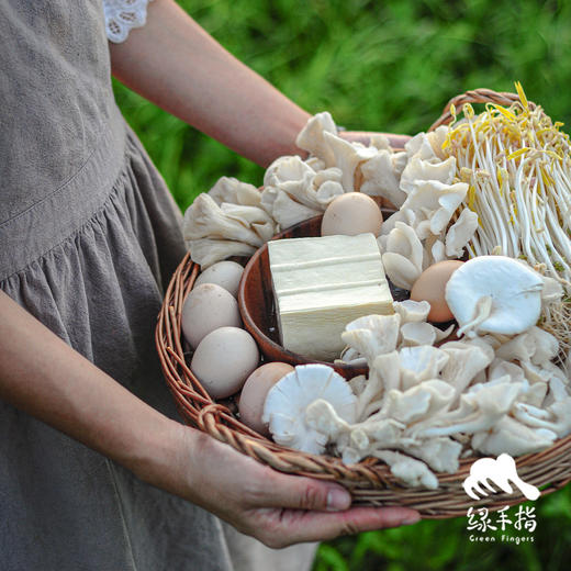 【华东仓】家庭蔬菇豆蛋体验份额（客服打电话确认后发货） | 绿家自产* EcoFresh Nine | In-House Production 商品图3