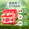 【供货】偶爱你感官四季洗衣凝珠7重酵素12倍洁净香水级香调 商品缩略图9