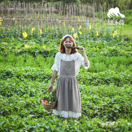 【华东仓】单人蔬菇豆蛋体验份额（客服打电话确认后发货） | 绿家自产* EcoFresh Nine | In-House Production 商品图3