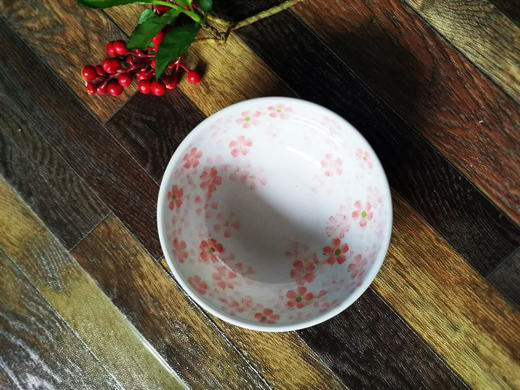 日本美浓烧日式面碗/大浅钵散件餐具多种款式任选 商品图3