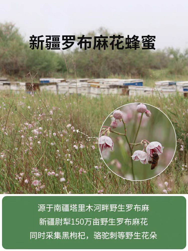 新疆特产 罗布麻蜂蜜