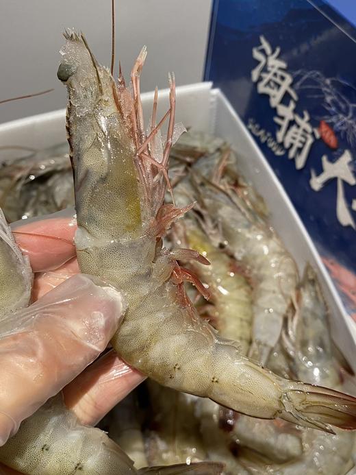 盐冻海捕青岛大虾  不包冰 不缩水  Q弹紧实 商品图4