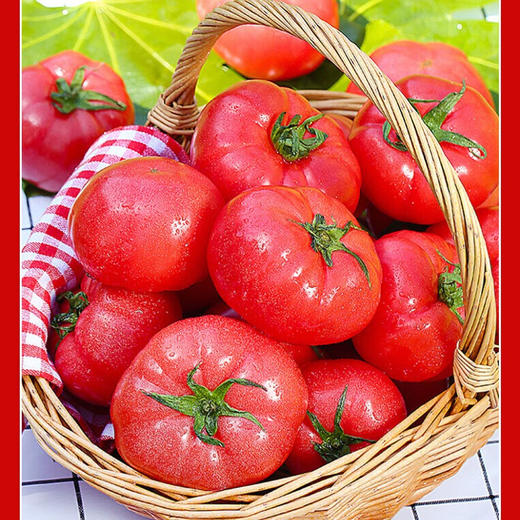 华农 桑果汁 238g*10盒