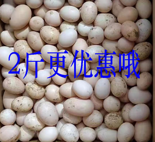 410    2斤农家初生鸡蛋 商品图2