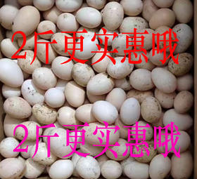 410    2斤农家初生鸡蛋