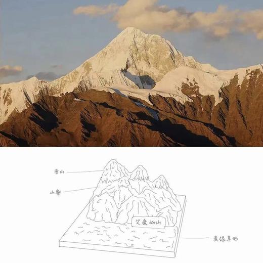 半糖｜“父爱如山”微景观蛋糕 商品图2