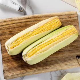 【云南有机甜脆玉米】云南有机种植 绿色无污染 全程无化学农残 更好吃 更健康