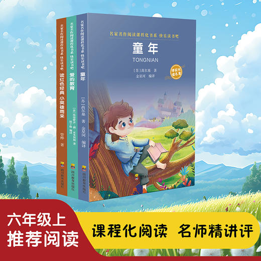 快吧六年级上童年、雨来、爱的教育全3册 商品图0