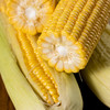 【云南有机甜脆玉米】云南有机种植 绿色无污染 全程无化学农残 更好吃 更健康 商品缩略图1