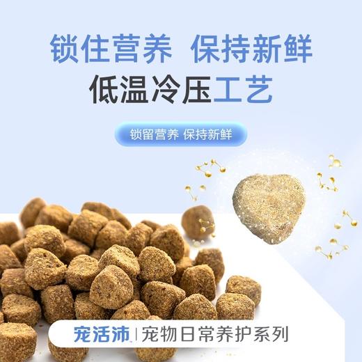 DHP宠活沛H01犬猫通用鱼油蛋黄卵磷脂400g 商品图4