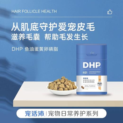 DHP宠活沛H01犬猫通用鱼油蛋黄卵磷脂400g 商品图0