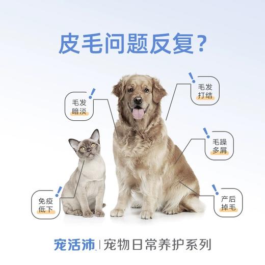 DHP宠活沛H01犬猫通用鱼油蛋黄卵磷脂400g 商品图1