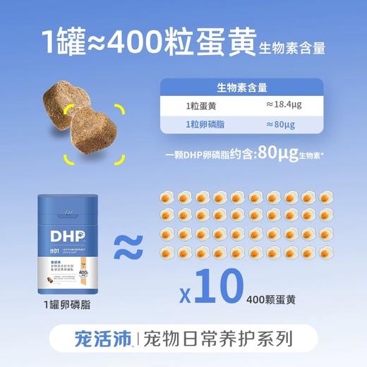 DHP宠活沛H01犬猫通用鱼油蛋黄卵磷脂400g 商品图2