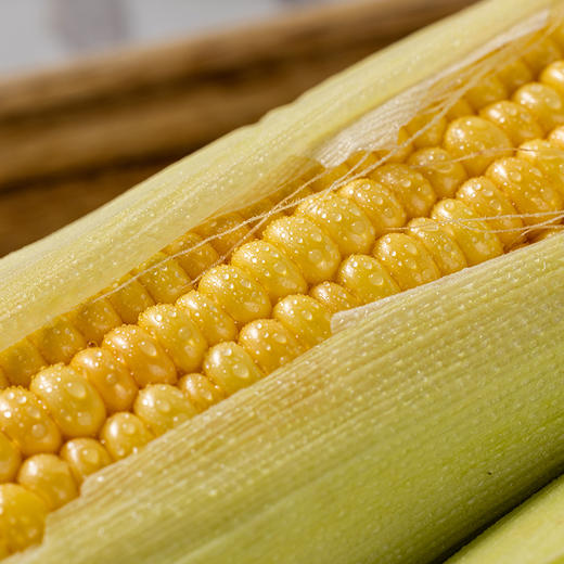 【云南有机甜脆玉米】云南有机种植 绿色无污染 全程无化学农残 更好吃 更健康 商品图3
