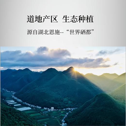 【板桥党参粉】道地食材打粉120g罐装香甜无硫熏 商品图1