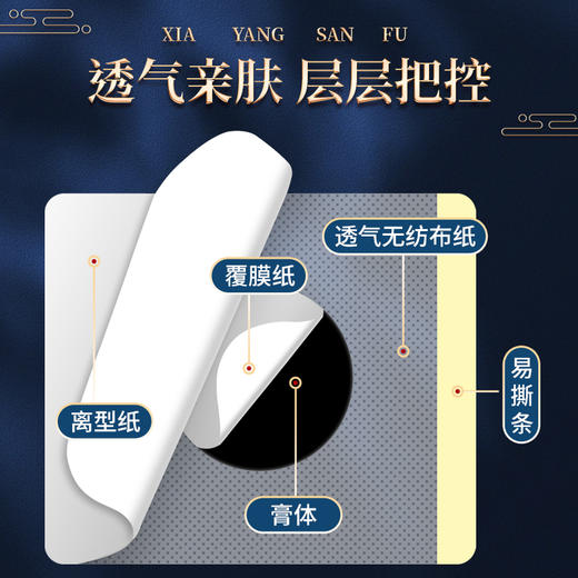  【三伏贴】夏养三伏 古方传承 调理体质 排湿去浊 商品图2