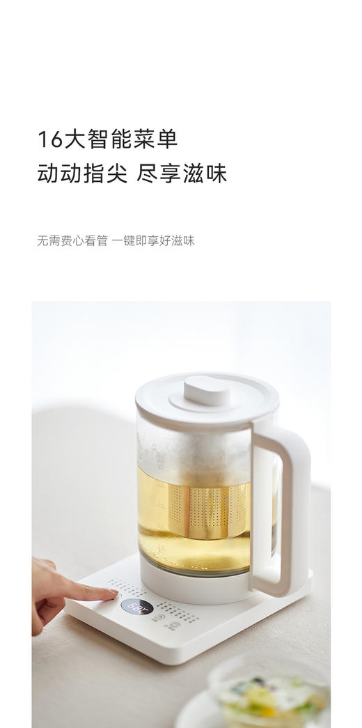 olayks立时养生壶小型办公室多功能家用纯钛烧水壶泡茶花茶煮茶壶 商品图5