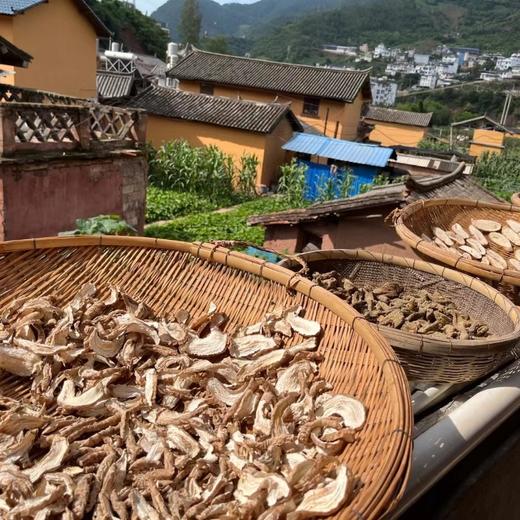 深山乌天麻 商品图1