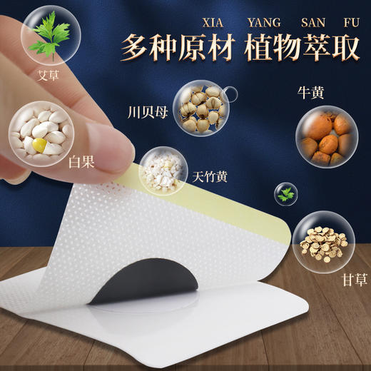  【三伏贴】夏养三伏 古方传承 调理体质 排湿去浊 商品图1