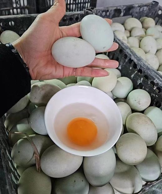 50枚鲜鸭蛋一箱 商品图1