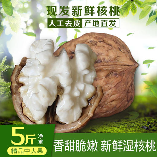 【云南新鲜湿核桃】去青皮新鲜湿核桃 百年古树核桃 薄皮嫩核桃 清甜脆嫩 甘甜味美 剥开薄壳 果仁饱满 赠送核桃夹 2种规格任选 商品图2