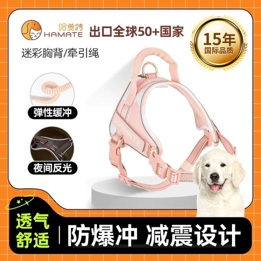 哈美特系列 商品图3