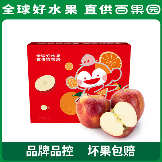 PAGODA百果园进口爱妃苹果（中）9粒礼盒装 商品图0