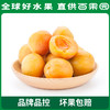 PAGODA百果园A级-新疆吊干杏（大）彩箱装（净重2.2斤） 商品缩略图2
