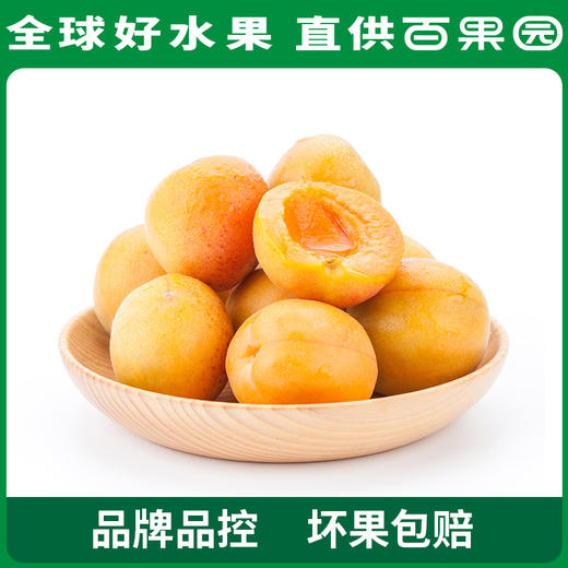 PAGODA百果园A级-新疆吊干杏（大）彩箱装（净重2.2斤） 商品图2