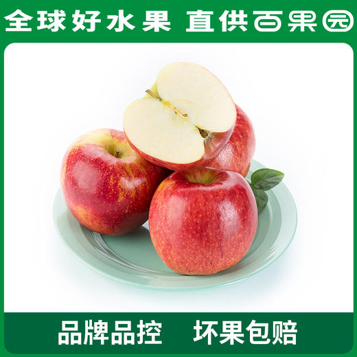 PAGODA百果园进口爱妃苹果（中）9粒礼盒装 商品图1