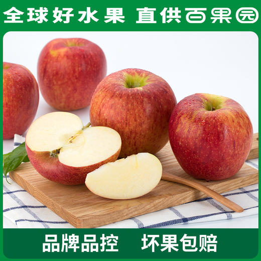 PAGODA百果园进口爱妃苹果（中）9粒礼盒装 商品图3