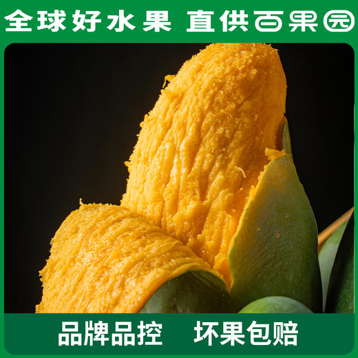 PAGODA百果园椰香芒（大）5斤礼盒装 商品图2